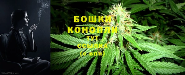 бошки Абаза